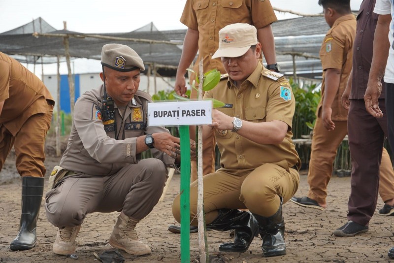 Bupati Fahmi: Banyak Manfaat Pohon Mangrove bagi masyarakat Desa Muara Adang