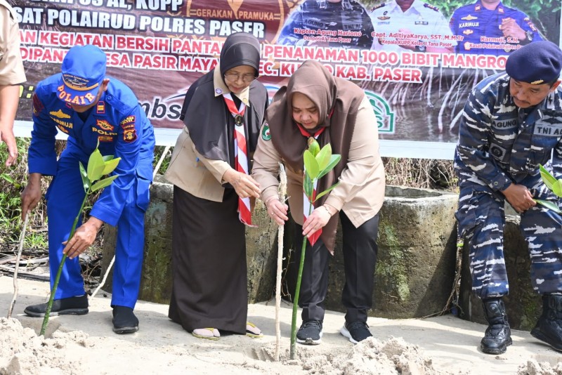 Ajak Peduli Perubahan Iklim, Wabup Masitah  Tanam Seribu Mangrove Bersama anggota Pramuka