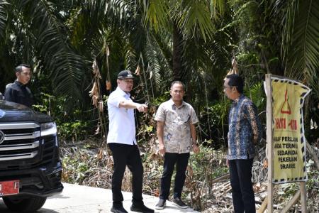 Pastikan Kondisi Infrastruktur Terjaga Dengan Baik, Bupati Tinjau Ruas Jalan Modang - Pasir Mayang