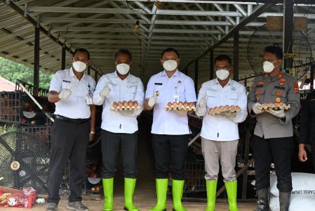 Produksi Telur Tembus 2 Juta Butir