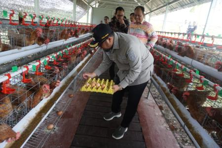 Wabup Panen Telur di Rutan